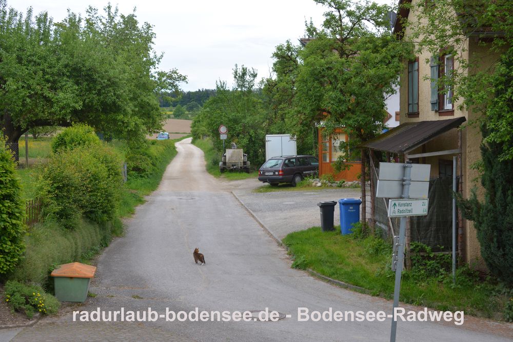 Radurlaub Bodensee - Bodensee-Radweg in Stahringen