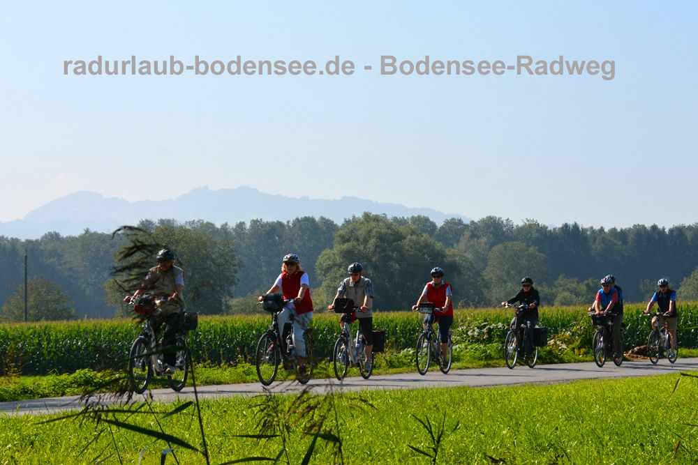 Bodensee-Radweg - Rheindelta